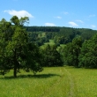 ertoryje